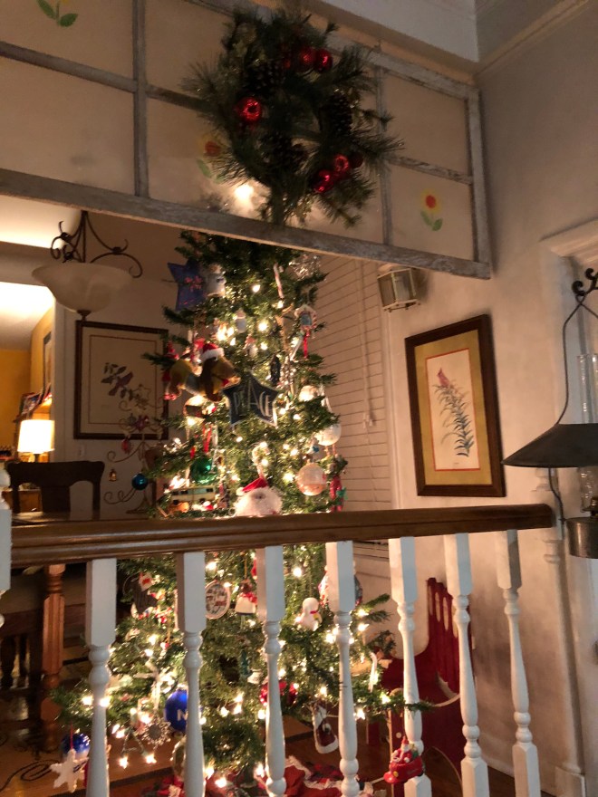 1182A41F-A521-4B96-9B47-44DFD4E1D45C