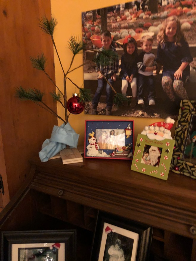 9A60BF10-6EBF-4025-9714-544634D12E26