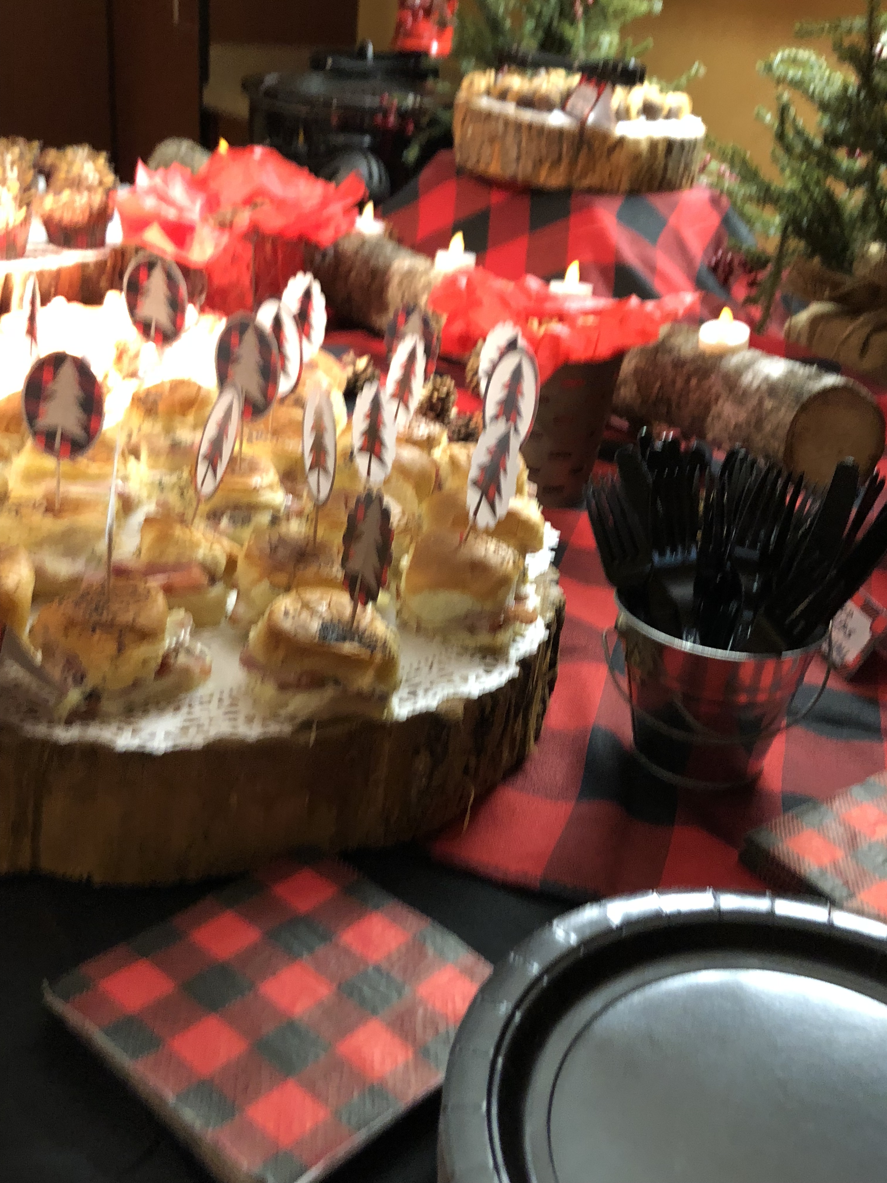 9AD6BF3D-7195-4004-B218-16AC6ACC4993